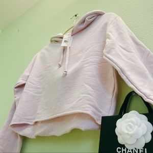 NEW WILDFOX Lavender Pasé the Rosé Crop Hoodie